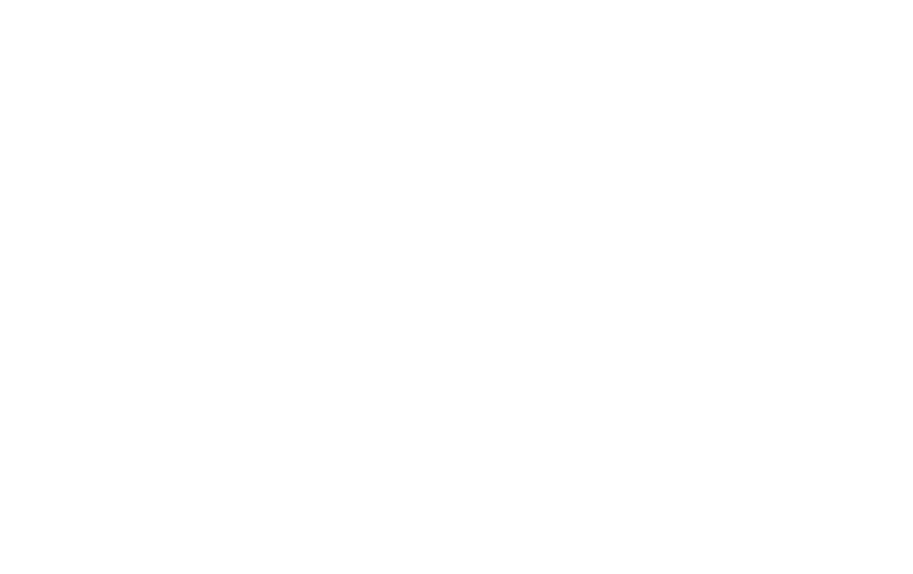 Cirdis